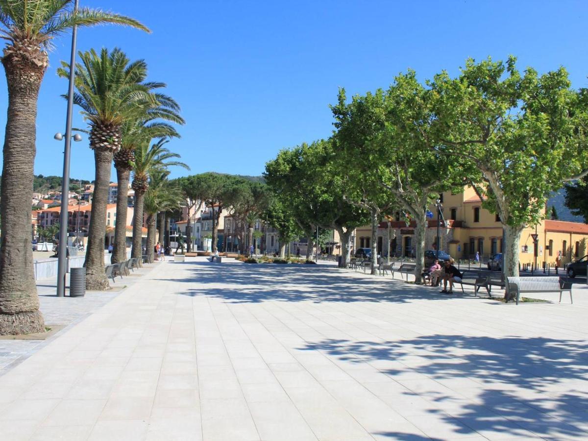 Appartement 3 Pieces Avec Parking Et Lave-Linge, A 500M Du Port - Banyuls-Sur-Mer - Fr-1-225C-274 Eksteriør bilde